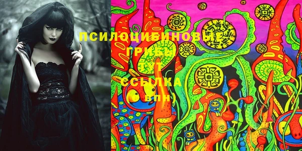 герыч Алексин