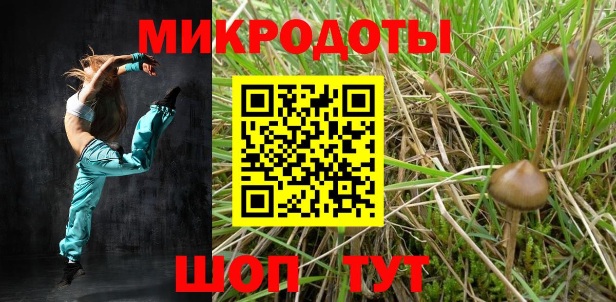 Галлюциногенные грибы мицелий  Вход с VPN  Заинск 